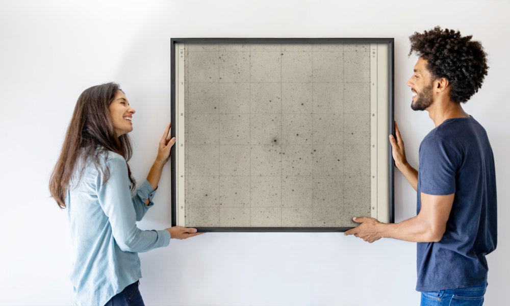 Max Wolf and Joh. Palisa