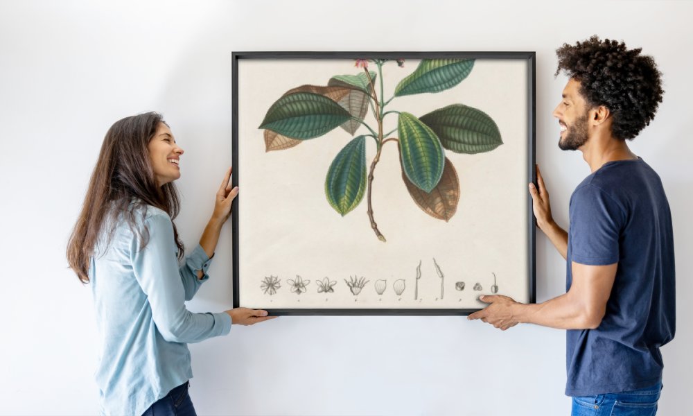 Alexander, Freiherr von Humboldt