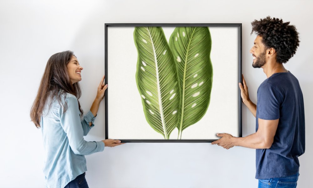 Les Plantes a Feuillage Colore