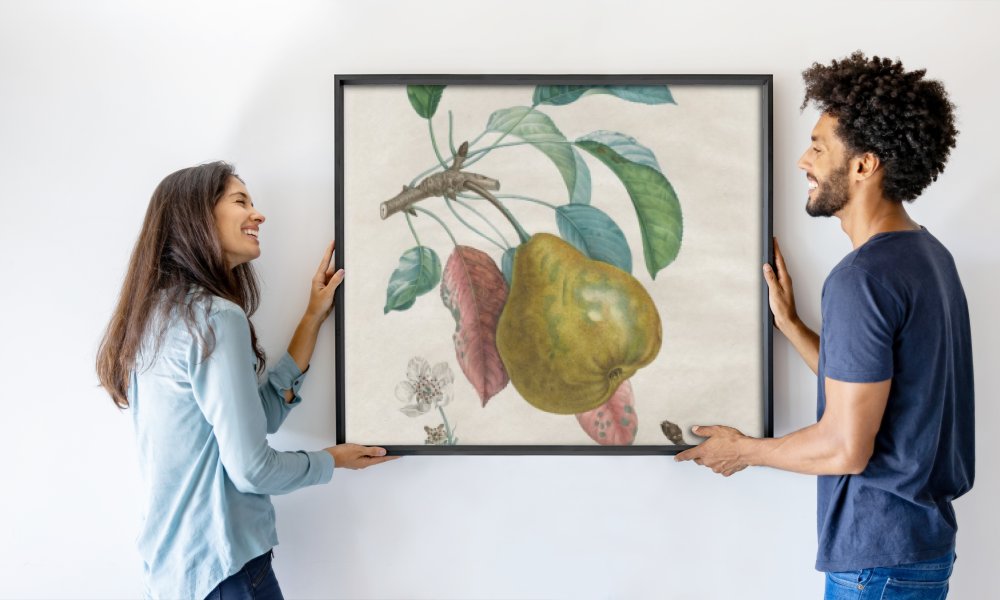 Henri Louis Duhamel du Monceau