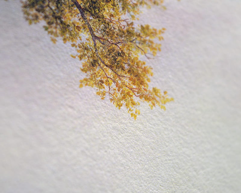 Kozo White, 110g (Papier fibre de mûrier, blanc)  14