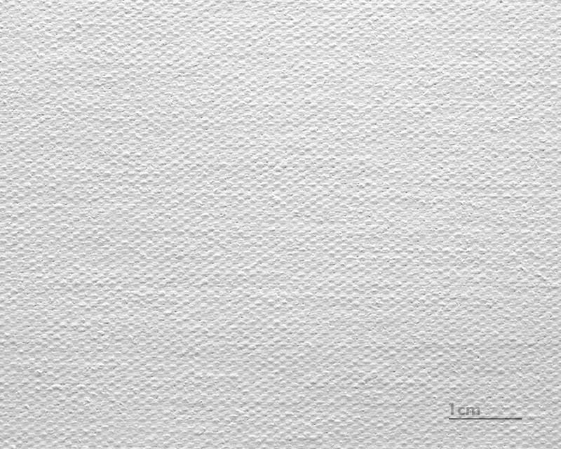 Toile Leonardo (satin) (Canvas Venezia)  1