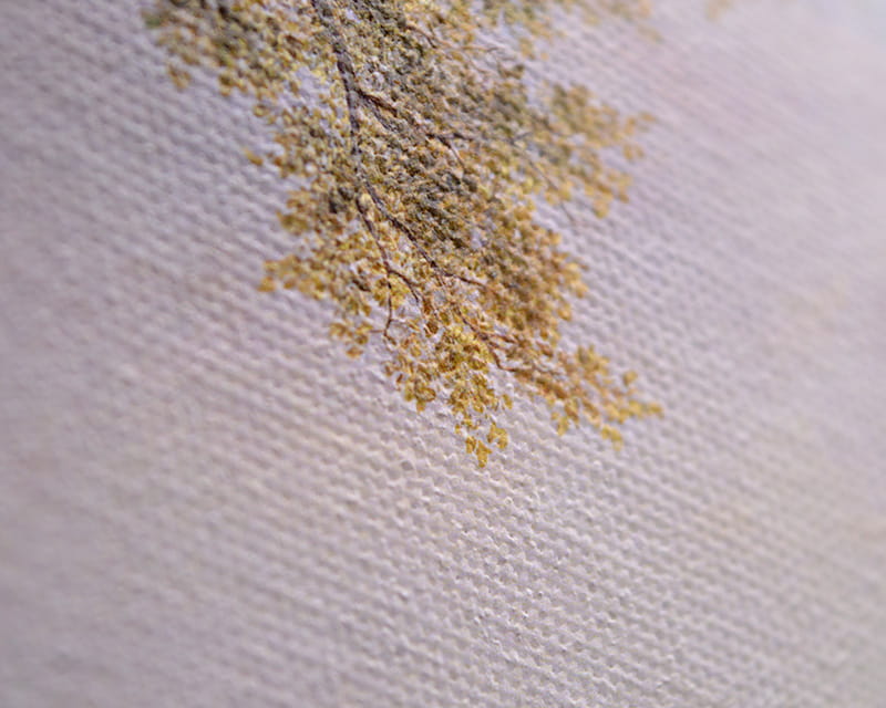 Toile Leonardo (satin) (Canvas Venezia)  31