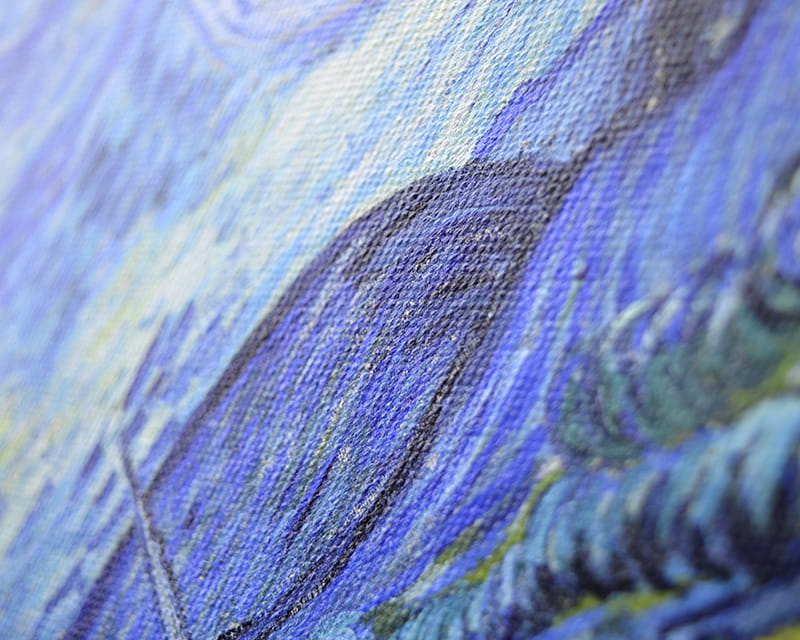 Toile Leonardo (satin) (Canvas Venezia)  5