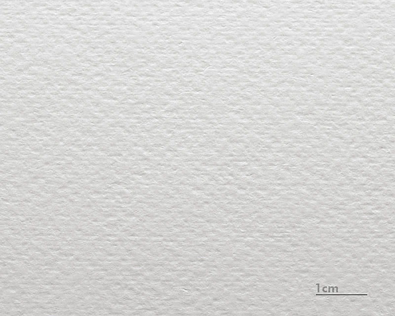 Aquarelle Carton Renoir (Museum Watercolor 310)  1