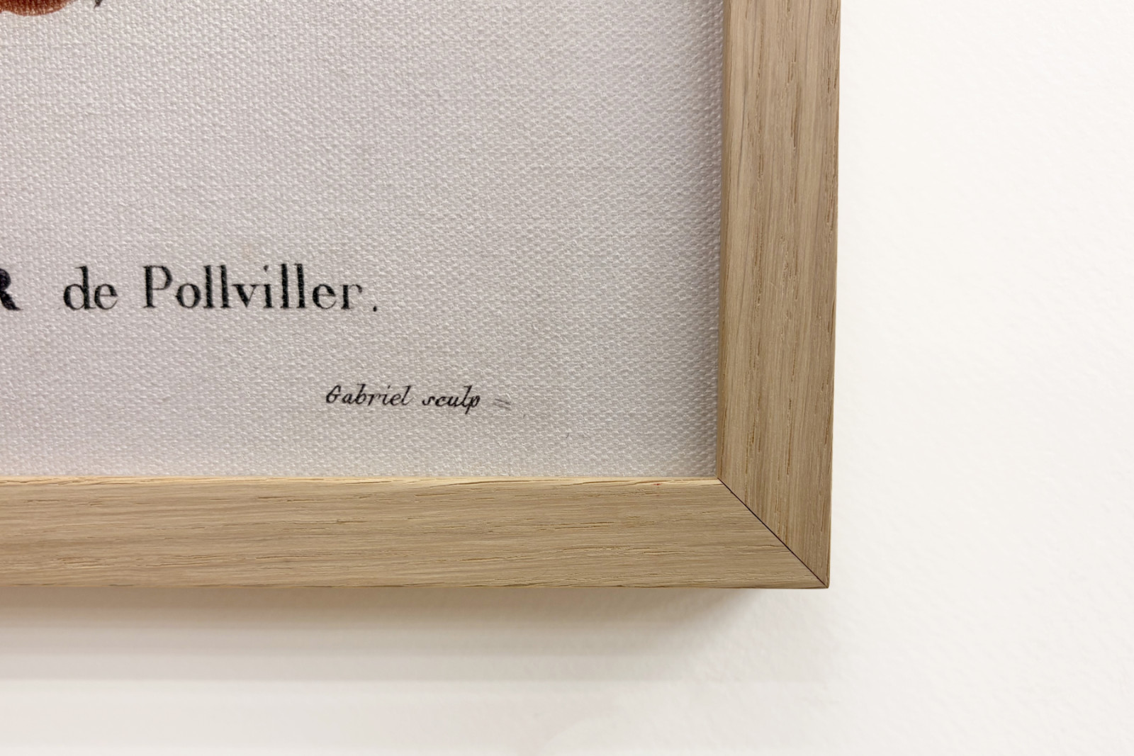 Poirier de Pollviller - dans Nouveau Duhamel du Monceau ou traité des arbres et arbustes que l'on cultive en France, figures d'après les dessins de P.J. Redouté et P. Bessa, Paris - Pierre Joseph (after) Redoute