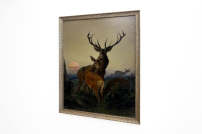 Un cerf avec une biche dans un paysage boisé au coucher du soleil