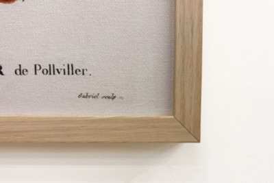 Poirier de Pollviller - dans Nouveau Duhamel du Monceau ou traité des arbres et arbustes que l'on cultive en France, figures d'après les dessins de P.J. Redouté et P. Bessa, Paris - Pierre Joseph (after) Redoute