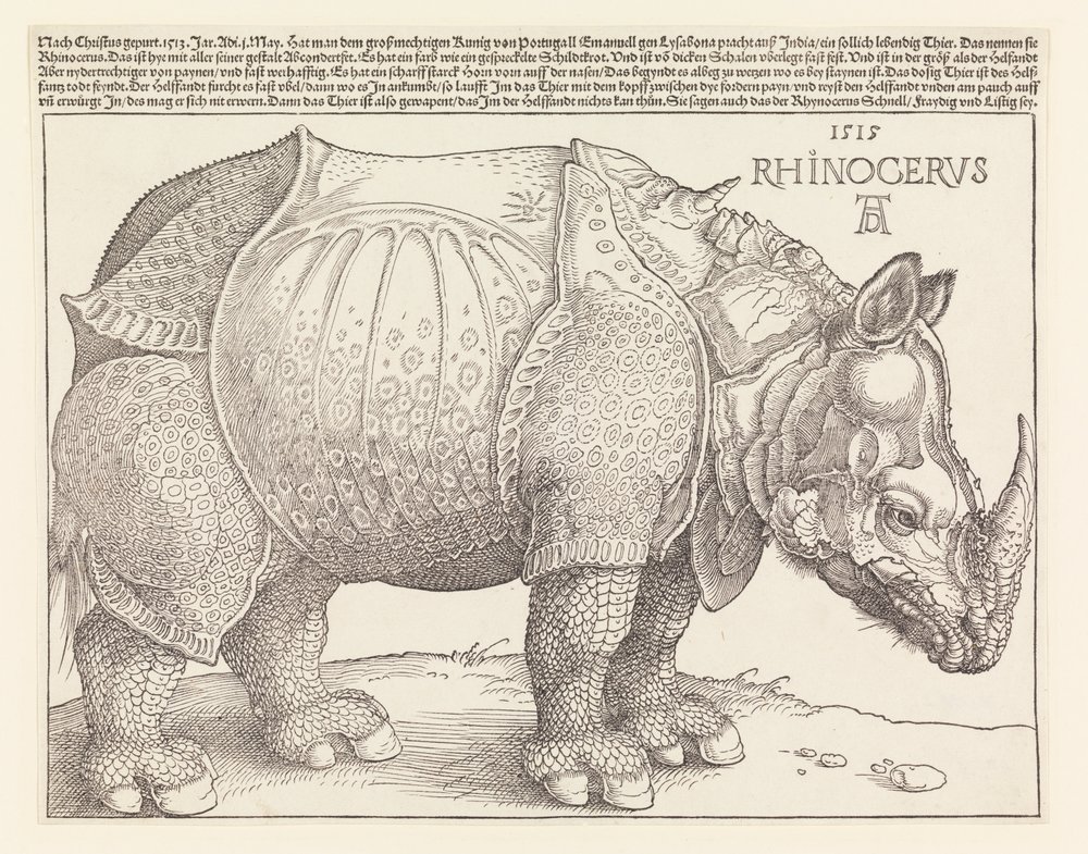Le Rhinocéros - Albrecht Dürer