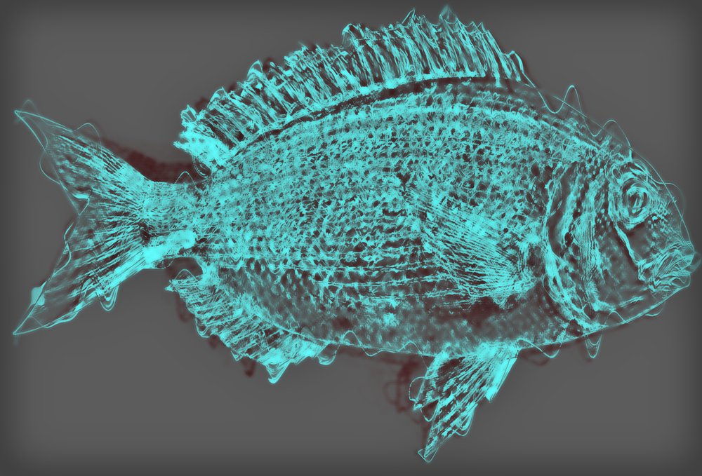 Poisson II, 2020 - Alex Caminker
