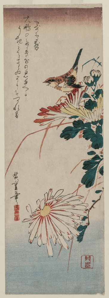 Fauvette et chrysanthèmes, milieu des années 1830 - Ando Hiroshige
