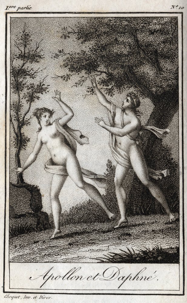 Apollon et Daphné. La nymphe Daphné se transforme en laurier pour échapper à Apollon. Gravure de 1819 dans "Lettres à Emilie sur la mythologie" par Charles Albert Demoustier (1760-1801). Collection privée. - Anonymous Anonymous