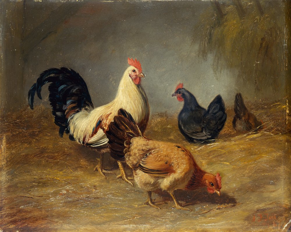 Alimentation des volailles - Arthur Fitzwilliam Tait