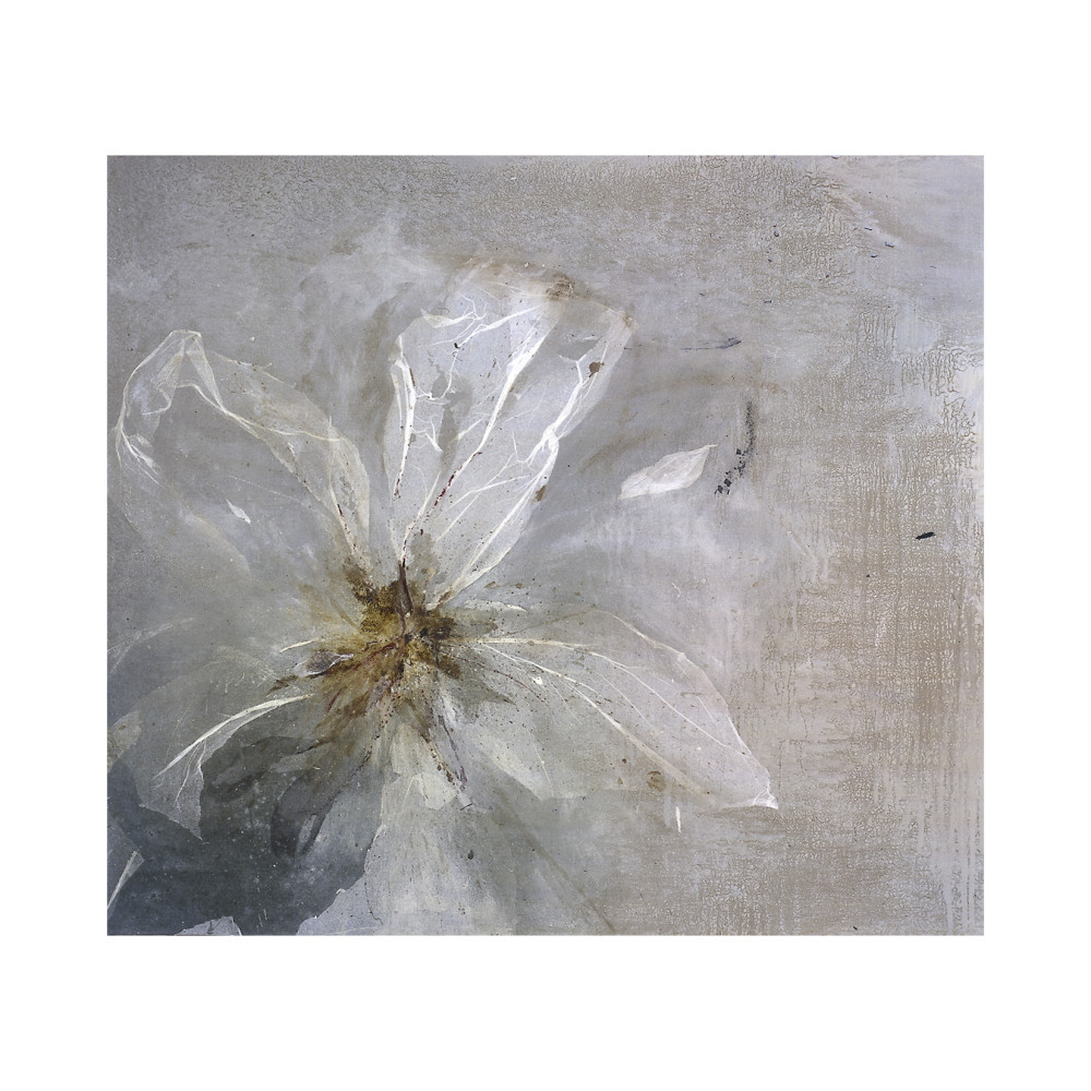 Eclatement passionnel - Clotilde Ancarani