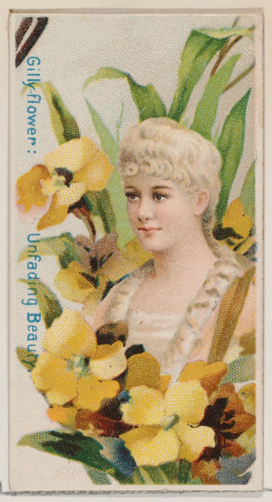 Giroflée : Beauté impérissable, de la série Beautés florales et langage des fleurs N7 - Donaldson Brothers