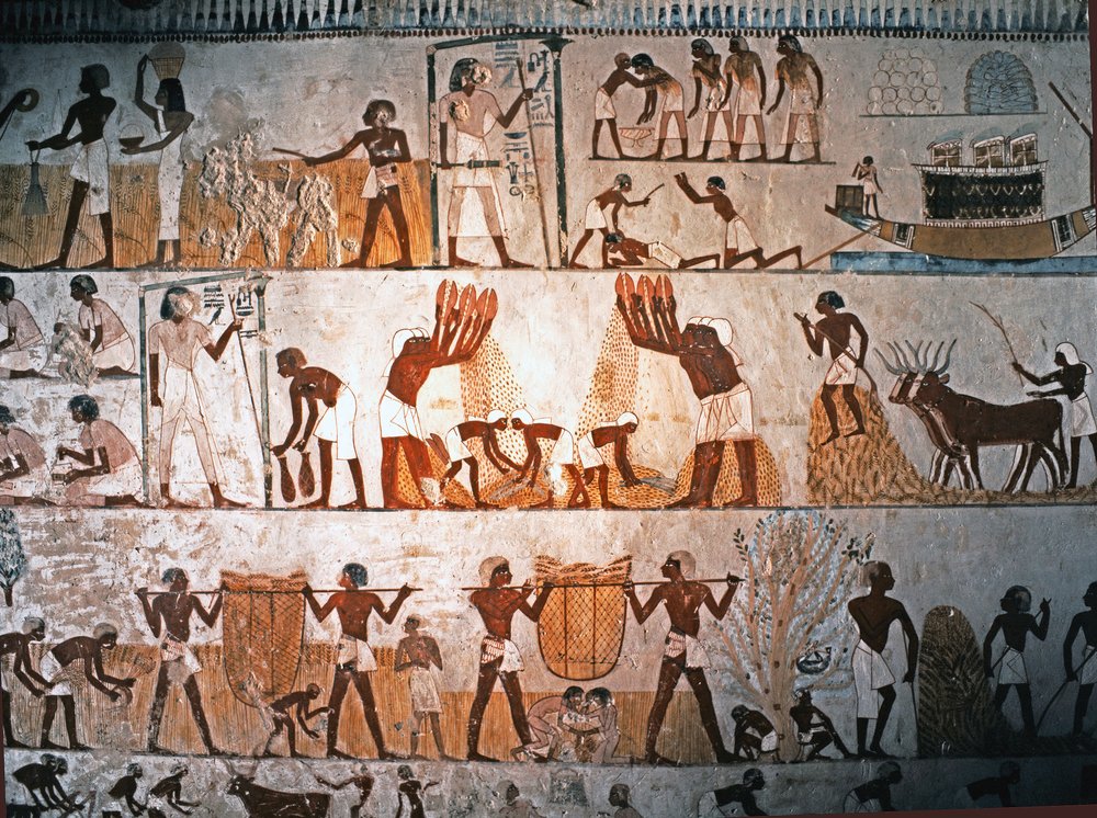 Art égyptien : scène de récolte. Peinture murale dans la tombe de Menna à Elwe..., vers 1400 av. J.-C. - Egyptian 18th Dynasty