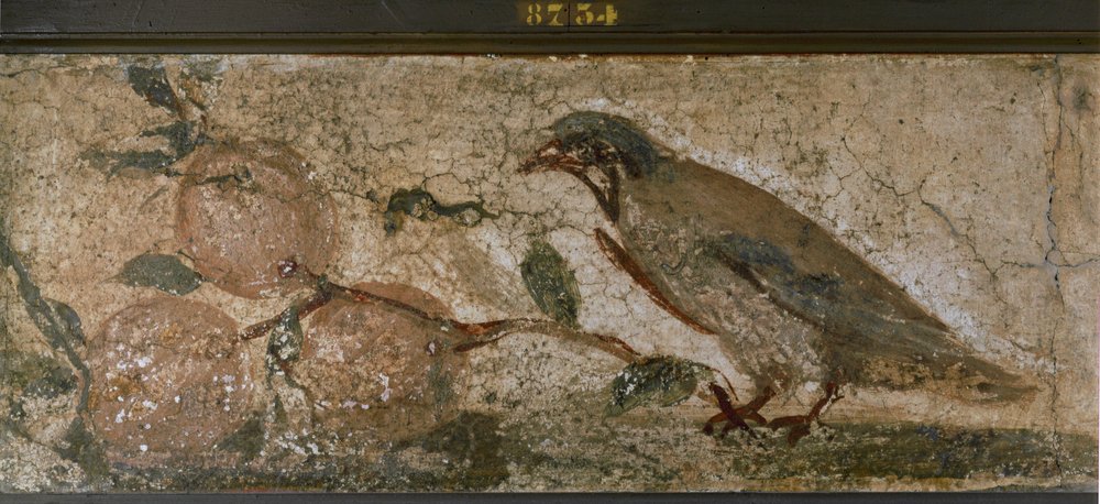 Oiseau et fruits de Pompéi, Italie (peinture murale) - Erich Lessing