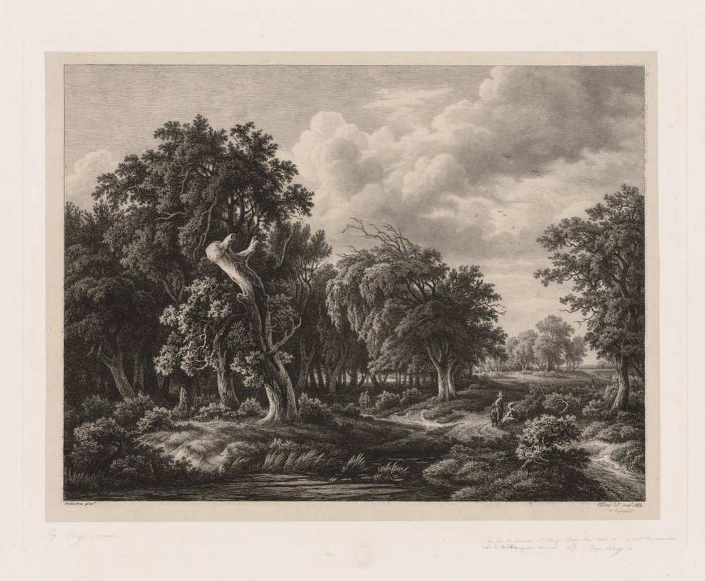 Groupes de diverses plantes dessinées d