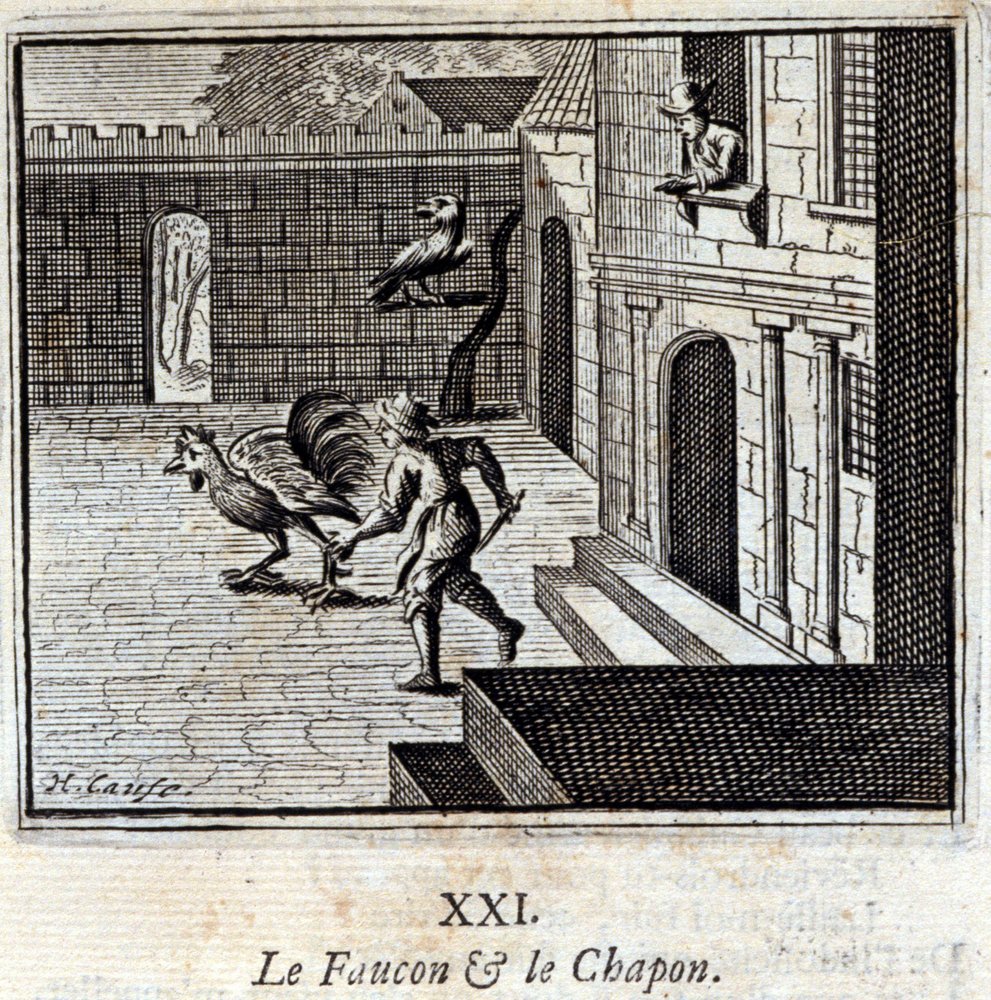 Le faucon et le chapon - Francois Chauveau