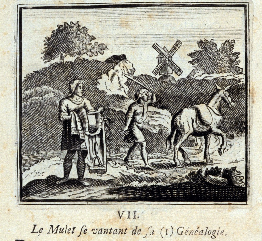 Le Mulet se vantant de sa généalogie. Fables de Jean de La Fontaine (1621-95). Illustration de François Chauveau (1613-1676). Édition de 1728. - Francois Chauveau