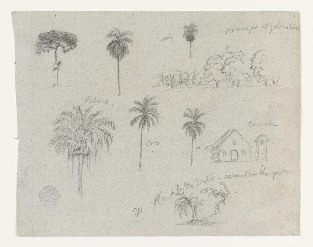 Croquis du Rio Magdalena, Colombie.  Croquis botaniques. Une église.  Similaire à -103. - Frederic Edwin Church