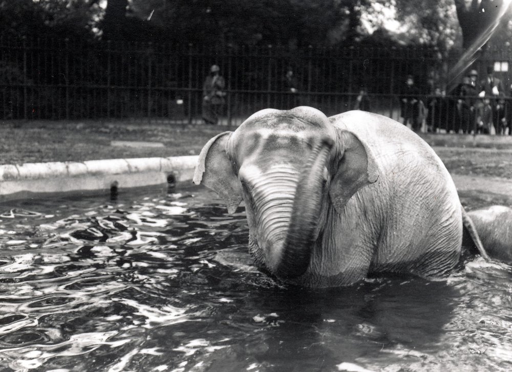Bain d