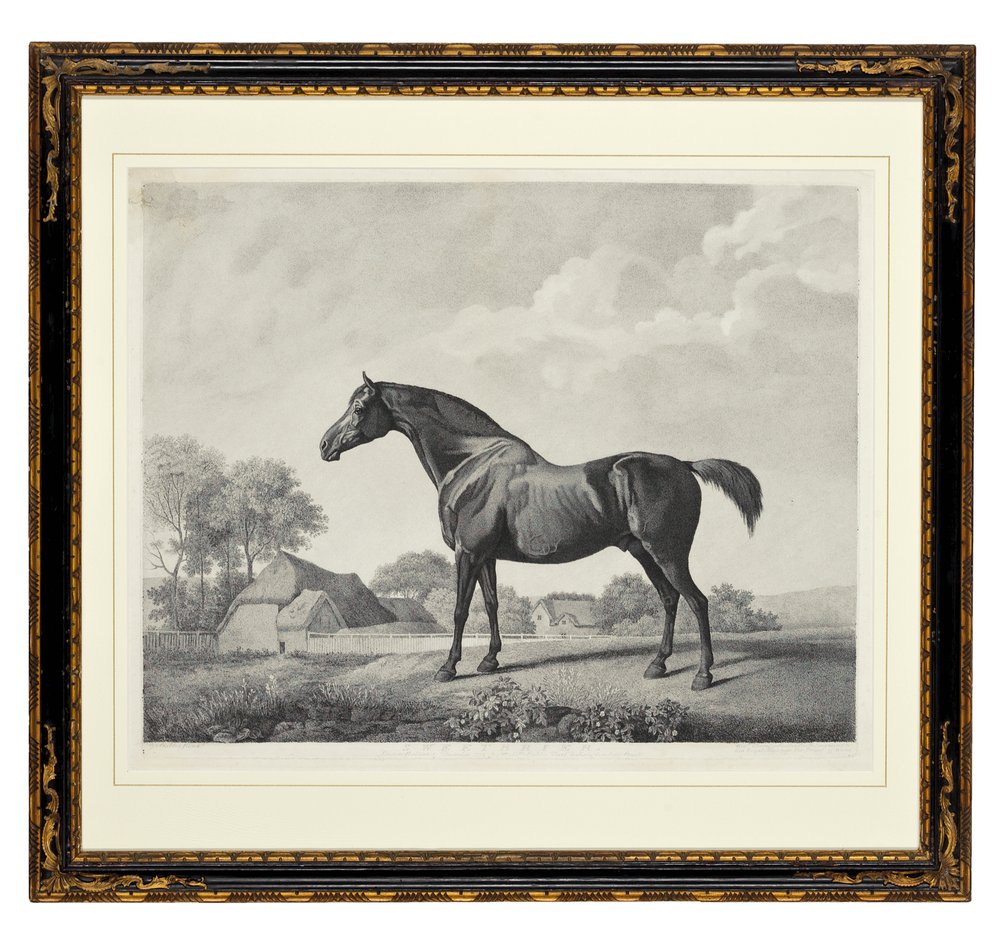 Églantier - George Townley Stubbs