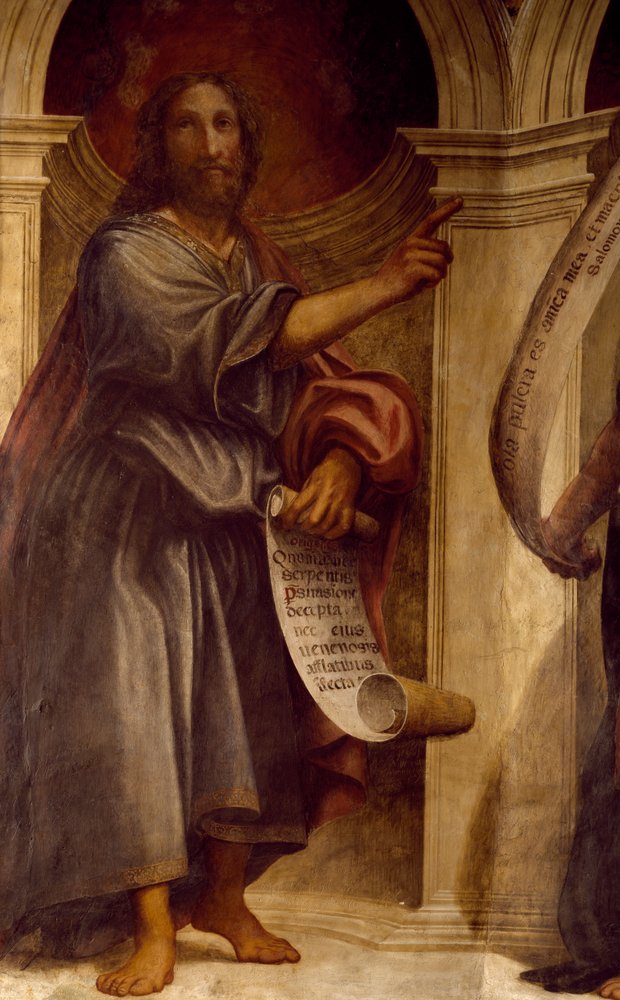 Isaïe (détail) - Giovanni Antonio Pordenone