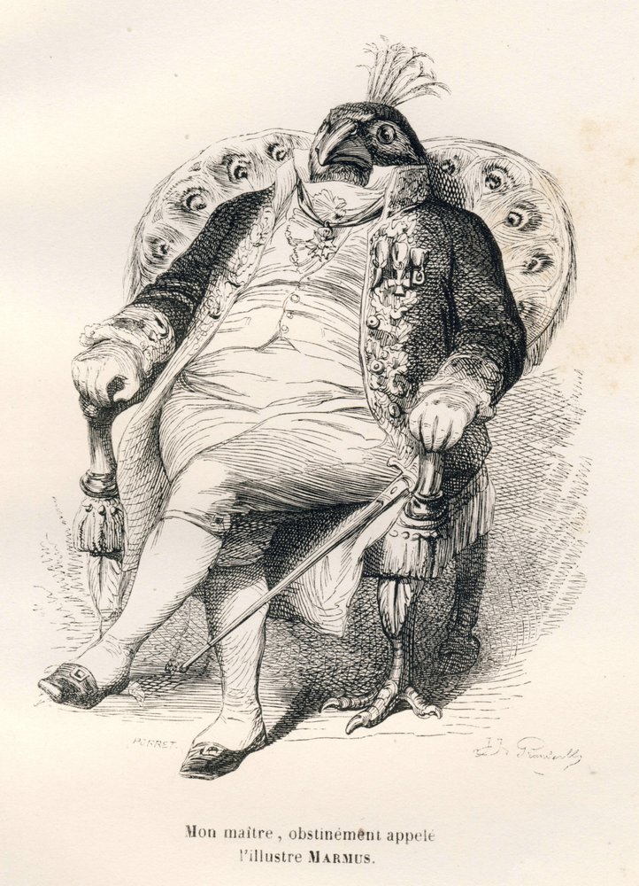 Paon assis sur son fauteuil. Gravure signée Porret dans la partie intitulée « Guide-âne à l