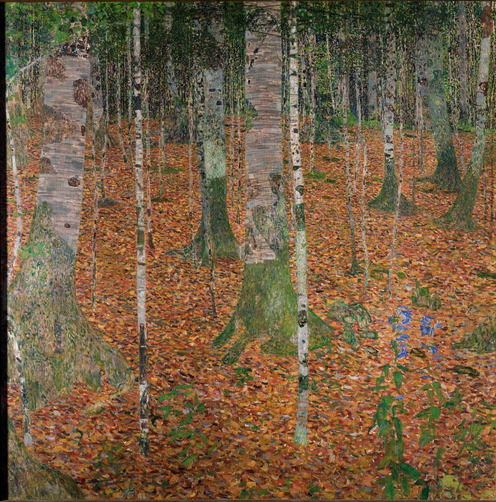 Forêt de bouleaux - Gustav Klimt