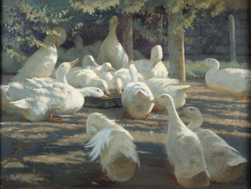 Lumière du soleil et ombre - Harry Percy Clifford