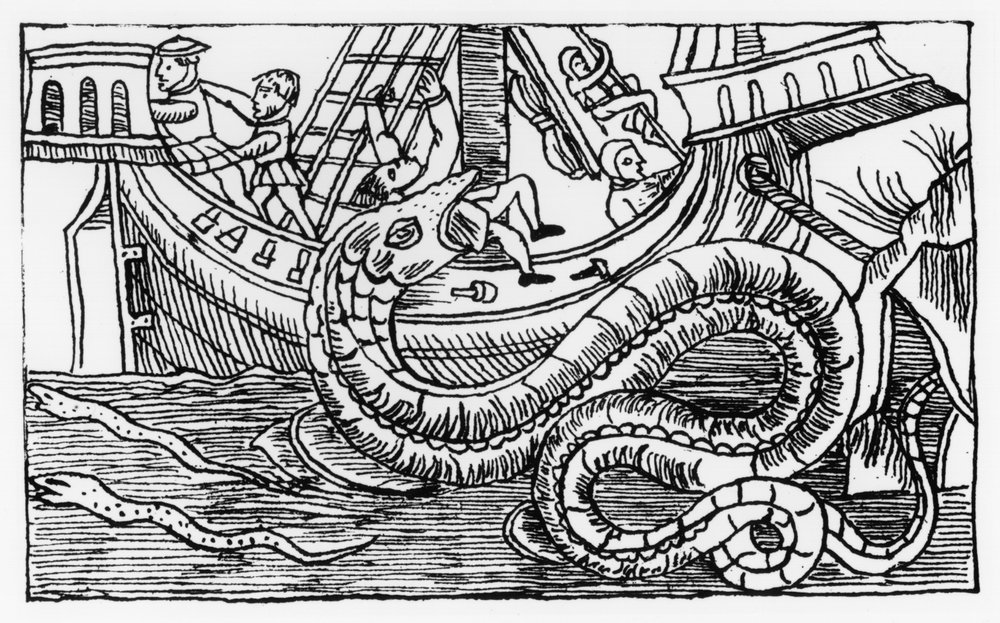 Un serpent de mer, tiré de « Historia de Gentibus Septentrionalibus » d