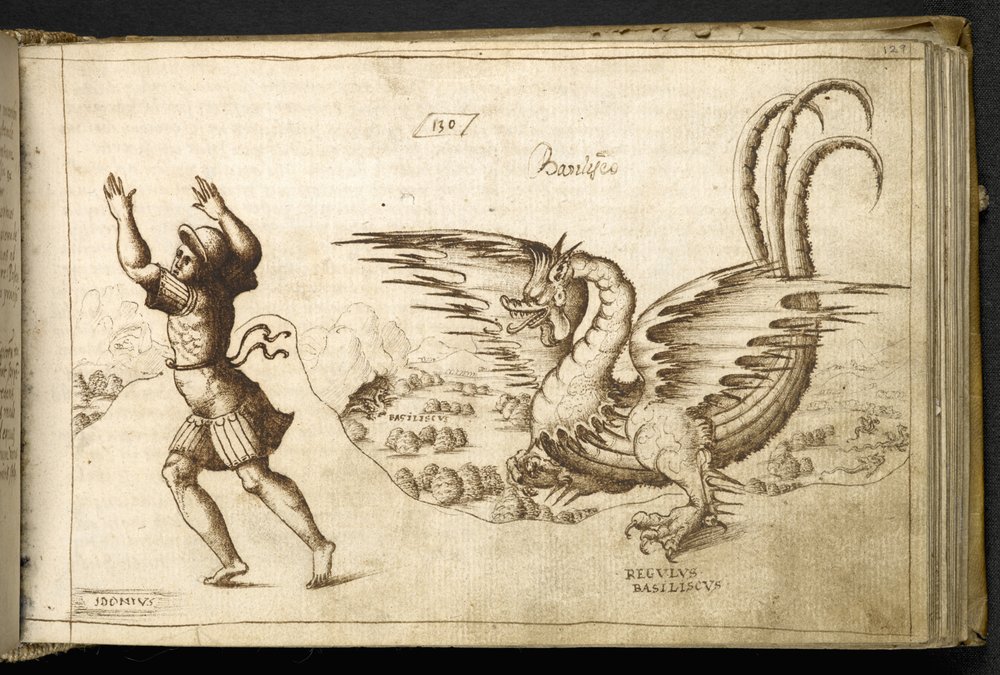 Dragon de 