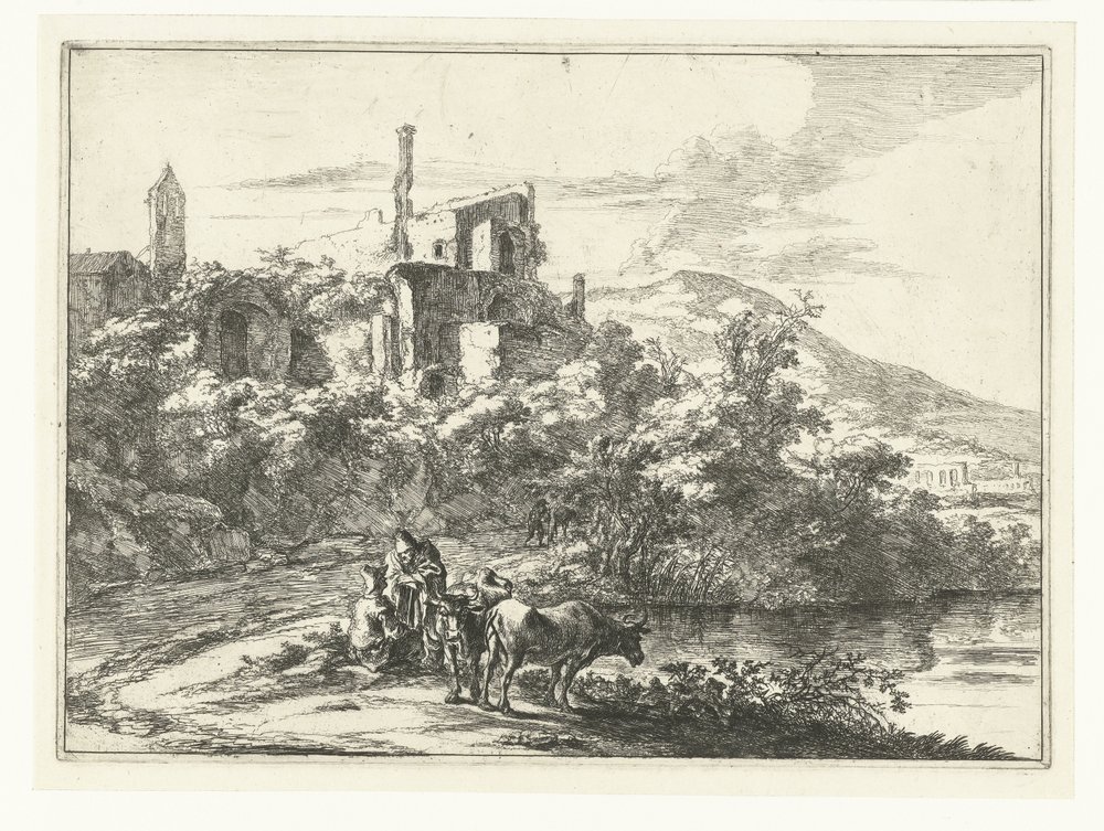 Deux vaches près de l