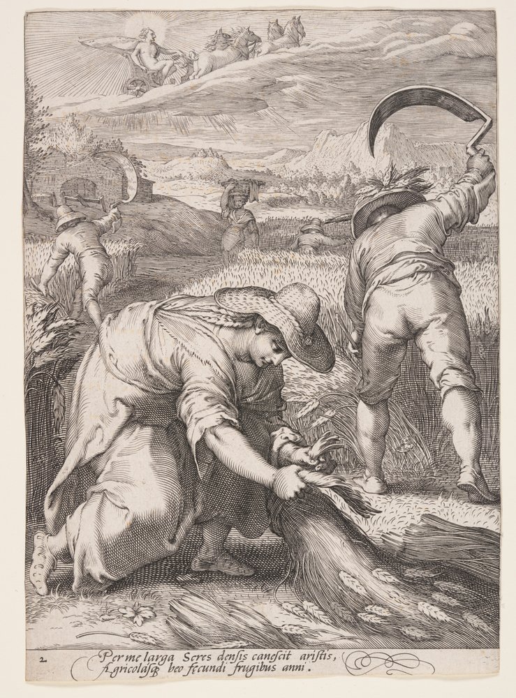 Été (Paysans récoltant le blé), extrait des Quatre Saisons - Jan Saenredam
