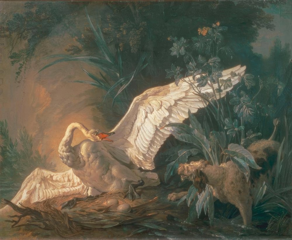 Chien barbet attaquant un cygne dans son nid - Jean-Baptiste Oudry