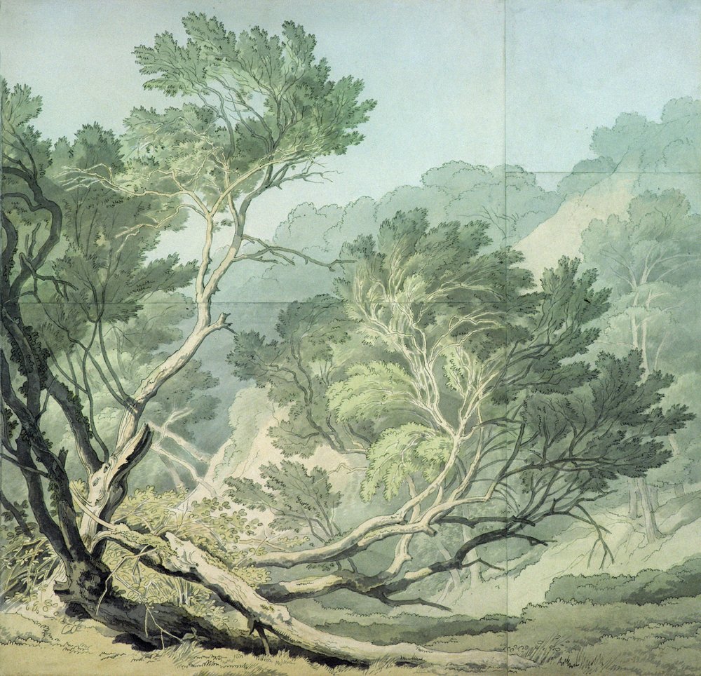 Vue près de Fordlands, Exeter - John White Abbott