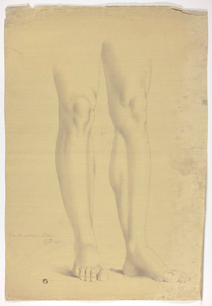 Jambes d