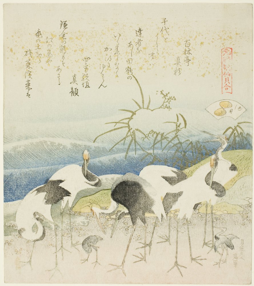 Grues au bord de la rive, illustration pour La Coquille de la Jambe, de la série "Un jeu d