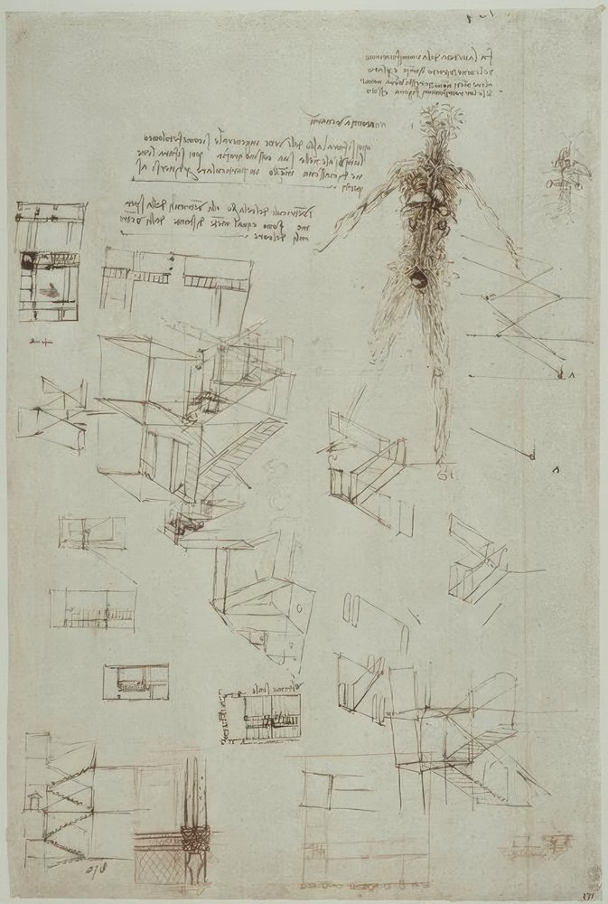 Études anatomiques - Leonardo da Vinci