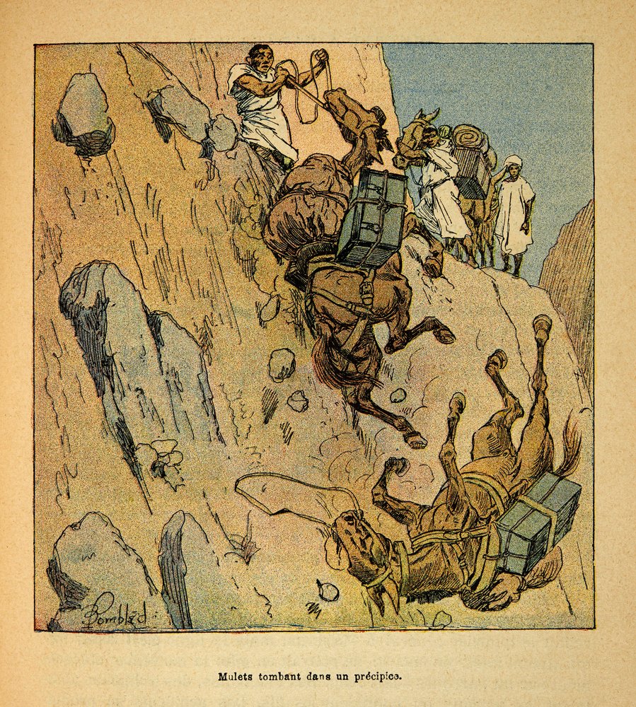 La Guerre à Madagascar-Histoire anecdotique des expéditions françaises de 1885-1895 par Henri Galli dit Gallichet (1854-1922), illustrée par Louis Bombled (1862-1927) : Mulets d