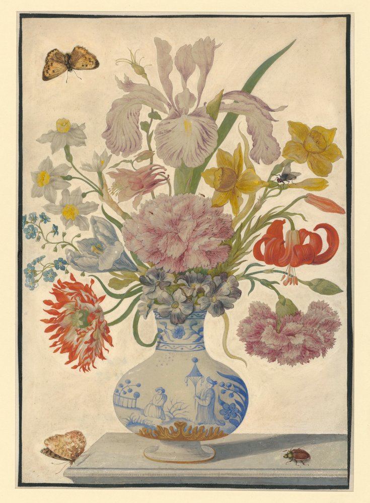 Vase chinois avec iris, lys et œillets. Sur la table, un papillon à gauche et un hanneton à droite - Maria Sibylla Merian