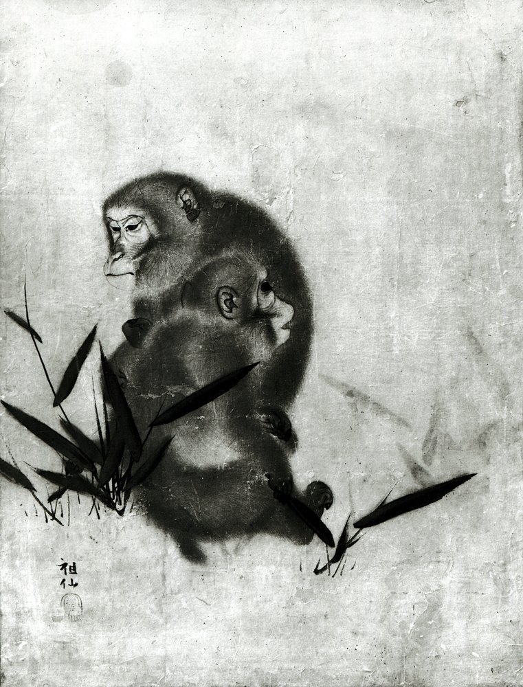 Singes - Mori Sosen