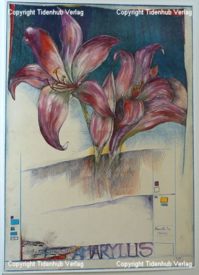 Amaryllis - Ole West