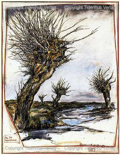 Pays des saules têtards - Ole West