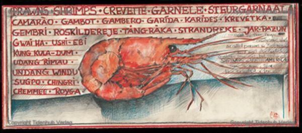 Crevettes - Ole West