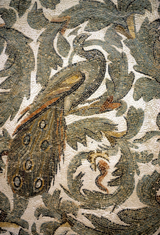Paon, détail de mosaïque - IVe siècle apr. J.-C., musée du Bardo, Tunis - Roman Roman