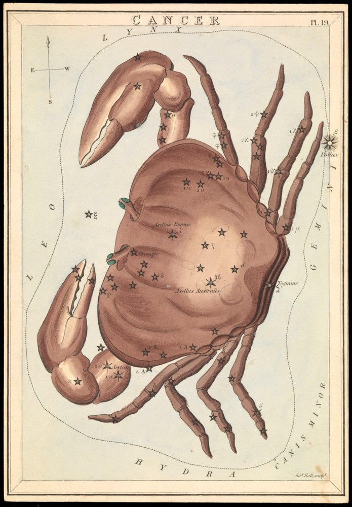 Cancer, vers 1825 - Sydney Hall