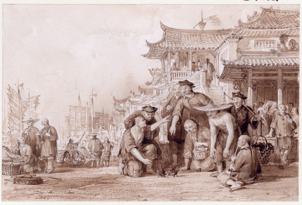 Bargemen de Canton combattant des cailles, 1843 - Thomas Allom
