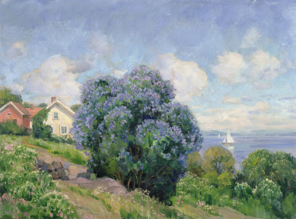 Paysage d